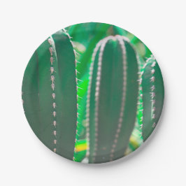 Prato De Papel Pastel de cacto verde deixa pastel