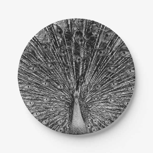 Prato De Papel Pavão preto e branco (Frente)