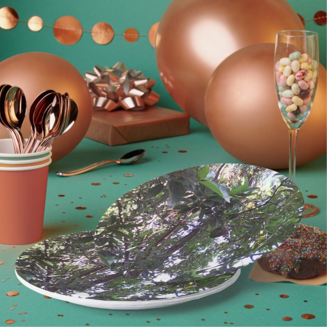 Prato De Papel Pé de Abacate (Múltiplo)