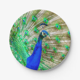 Prato De Papel Peacock Plumage