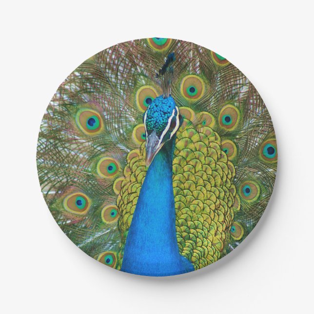 Prato De Papel Peacock S9K.jpg (Frente)
