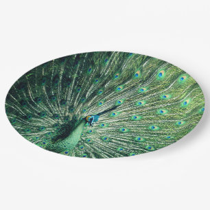 Prato De Papel Peacock Strut