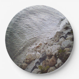 Prato De Papel Pebolhas Na Praia