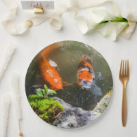 Peixe Koi numa lagoa