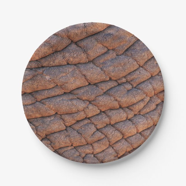 Prato De Papel Pele Elefante (Frente)