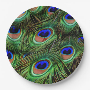 Prato De Papel Pena de Peacock  