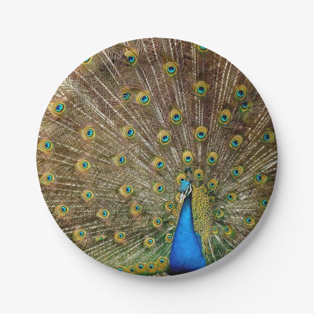 Prato De Papel Penas da Cauda Peacock (Frente)