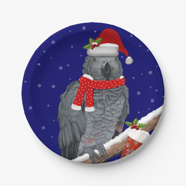 Prato De Papel Penas Festivas (Frente)