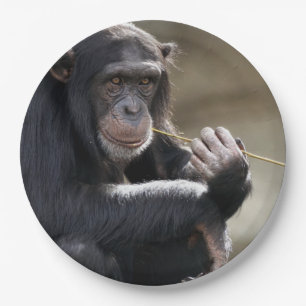 Prato De Papel Pensando Em Monchar Por Aí