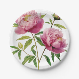 Prato De Papel Peônias Rosa Bonito Ilustradas à Mão com Preço Red