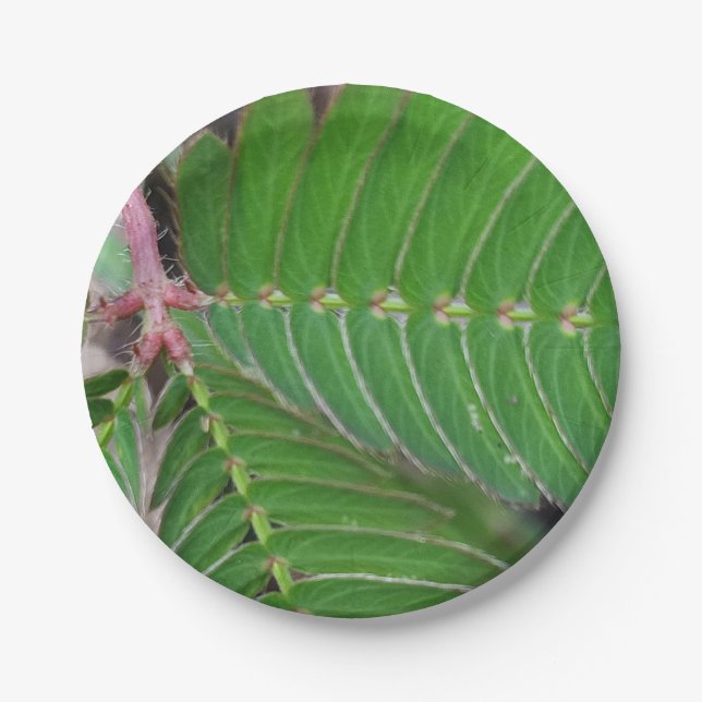 Prato De Papel Pequena folha de papel verde encantadora (Frente)