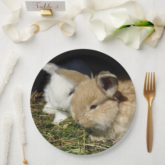 Prato De Papel Pequenos coelhos fofos bonitos (Casamento)