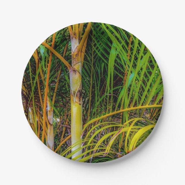 Prato De Papel Perdida em Areca Palms Paper Plate (Frente)