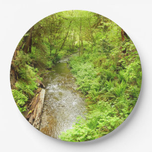 Prato De Papel Perdido Homem Creek II no Parque Nacional de Redwo