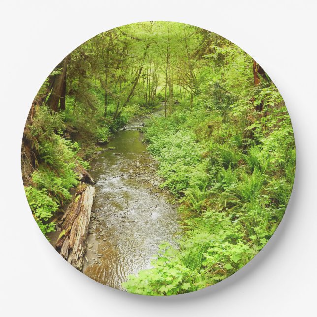 Prato De Papel Perdido Homem Creek II no Parque Nacional de Redwo (Frente)