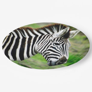 Prato De Papel Perfil Zebra