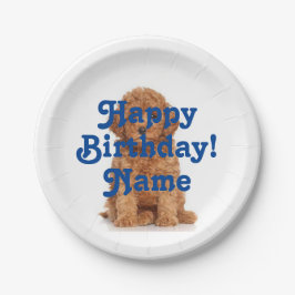 Prato De Papel Personalizar com Nome e Foto Aniversário