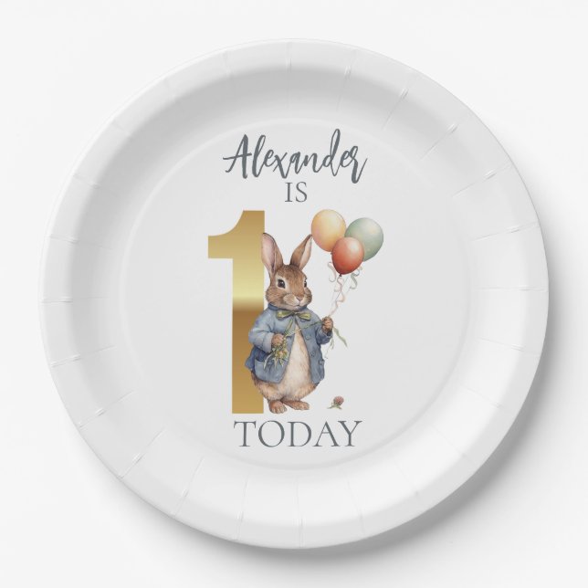 Prato De Papel Personalize Peter o coelho Primeiro aniversário (Frente)