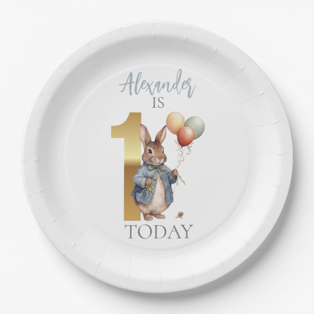 Prato De Papel Personalize Peter o coelho Primeiro aniversário (Frente)