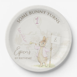 Prato De Papel Peter, o primeiro aniversario do coelho Soe