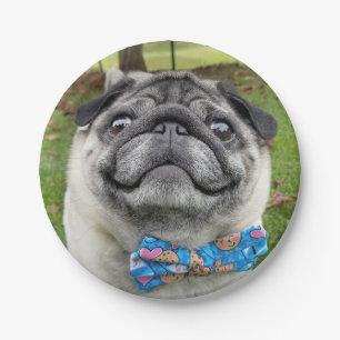 Prato De Papel Pickles Paper Plate