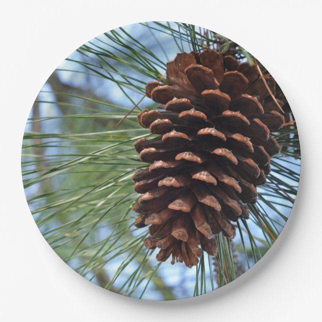 Prato De Papel Pine Cone (Frente)