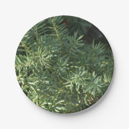 Prato De Papel Pine Forest