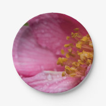 Pink Camellia Flower Stamens