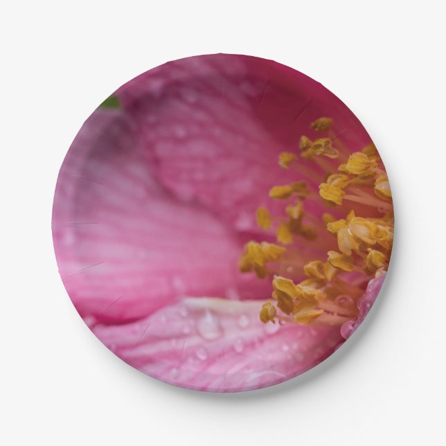 Prato De Papel Pink Camellia Flower Stamens (Frente)