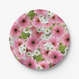 Prato De Papel Placa de papel