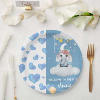 Prato De Papel Placa de papel