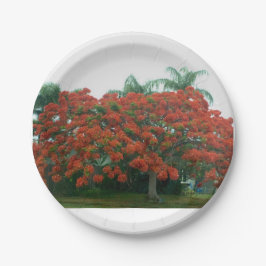 Prato De Papel placa de papel