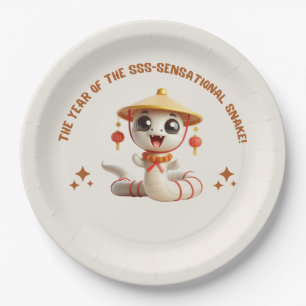 Prato De Papel Placa de papel