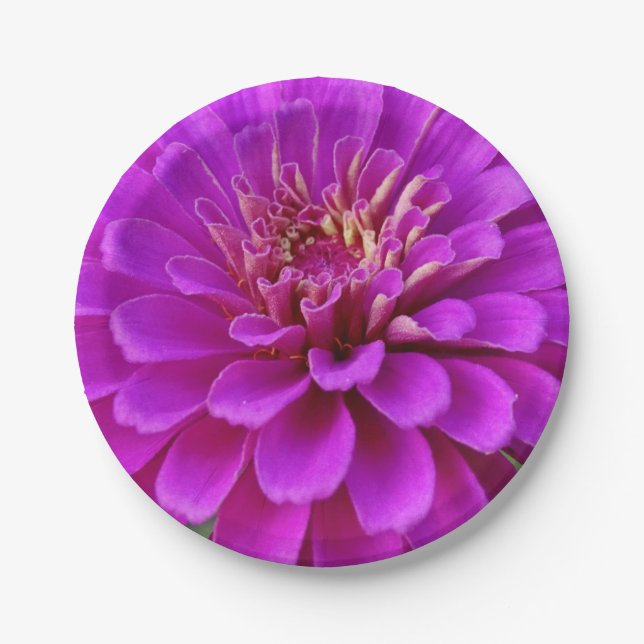 Prato De Papel Placa de papel (Frente)