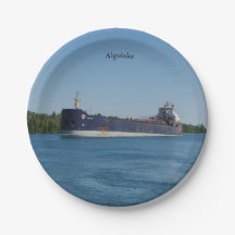 Placa de papel Algolake