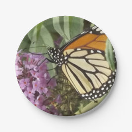Prato De Papel Placa de papel borboleta