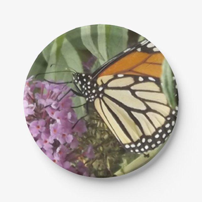 Prato De Papel Placa de papel borboleta (Frente)