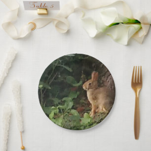 Prato De Papel Placa de Papel Bunny - para o amante de coelhos e