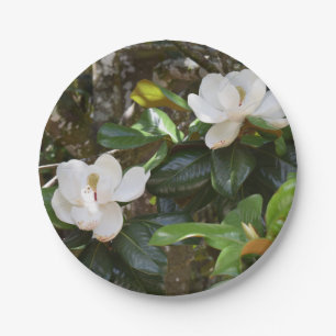 Prato De Papel Placa de Papel da Magnolia Branca