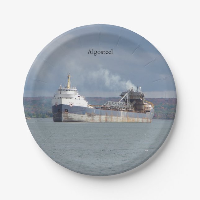 Prato De Papel Placa de papel de aço (Frente)