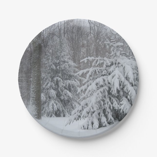 Prato De Papel Placa de papel de férias (Frente)