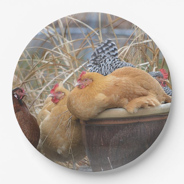 Prato De Papel Placa de Papel de Festa de Cena (Frente)