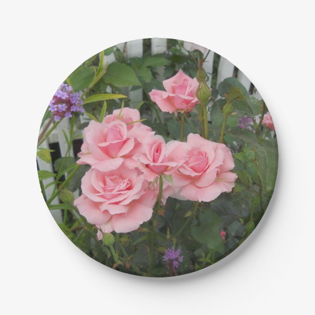 Prato De Papel Placa de papel de roscas rosa (Frente)