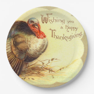 Prato De Papel Placa de Papel Feriado de Peru para Ação de Graças