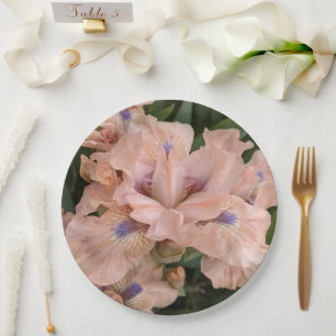 Prato De Papel Placa de Papel Floral Iris, Cor-de-Rosa, Esbranqui