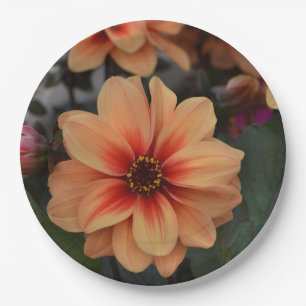 Prato De Papel Placa de papel floral Peachy