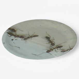 Prato De Papel Placa de Papel - Formigas no Piquenique