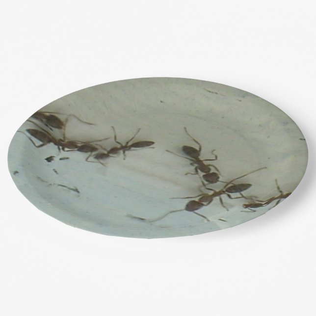 Prato De Papel Placa de Papel - Formigas no Piquenique (Inclinado)