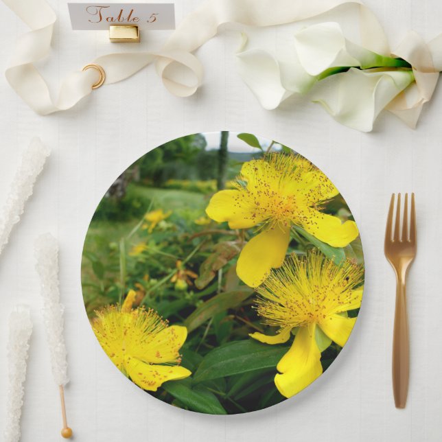 Prato De Papel Placa de papel Hypericum calycinum (Casamento)