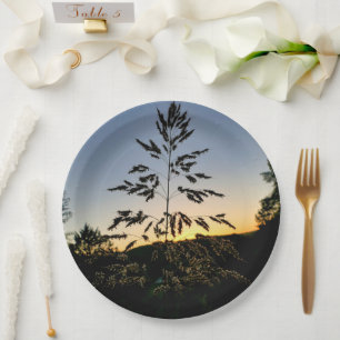 Prato De Papel Placa de papel Johnson Grass